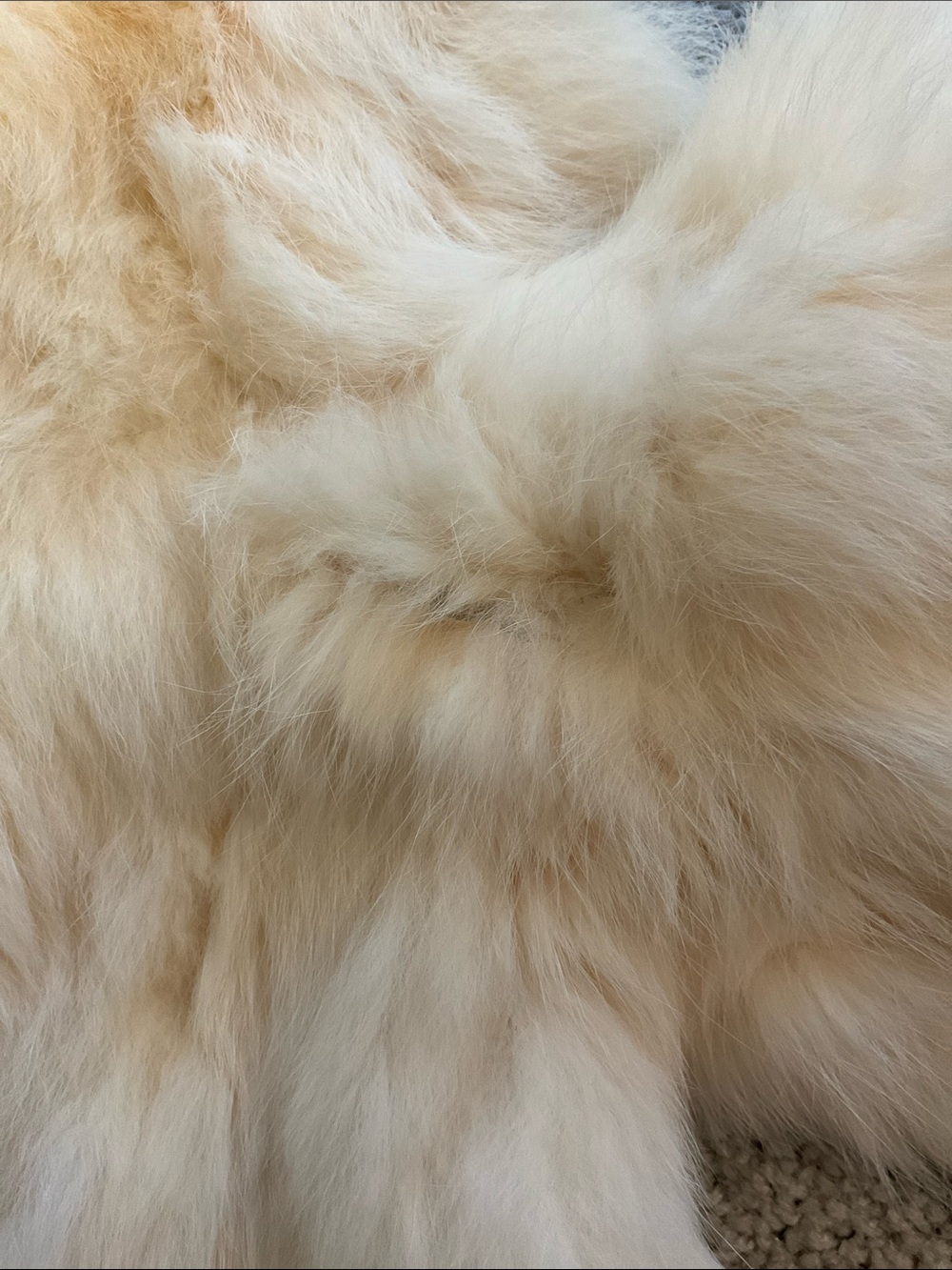 NWT Luxury Real Rabbit Fur Cream Vintage Coat - Stylish Warm Jacket - Picture 6 of 16